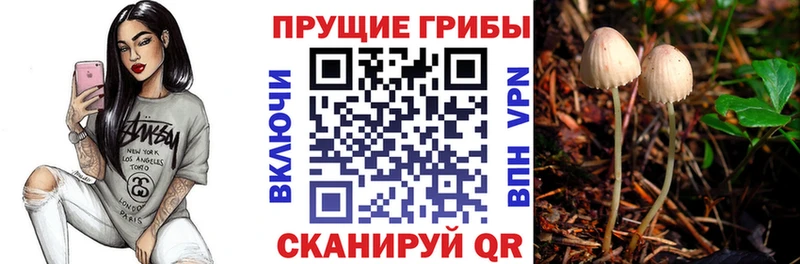 Купить Спасск-Рязанский Галлюциногенные грибы мухоморы